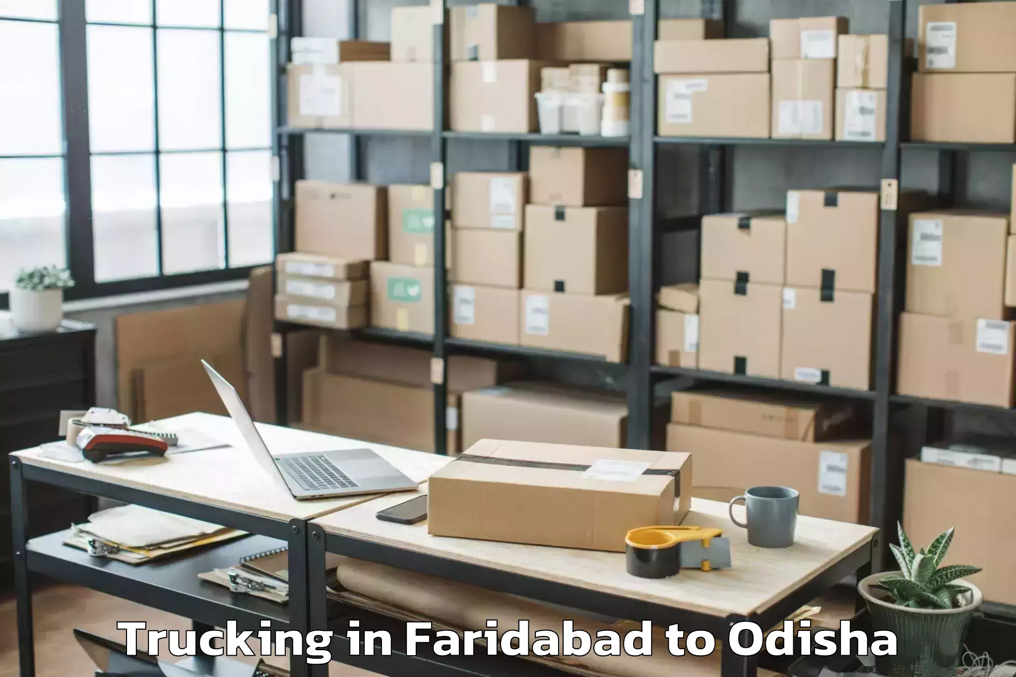 Book Faridabad to Banposh Trucking Online